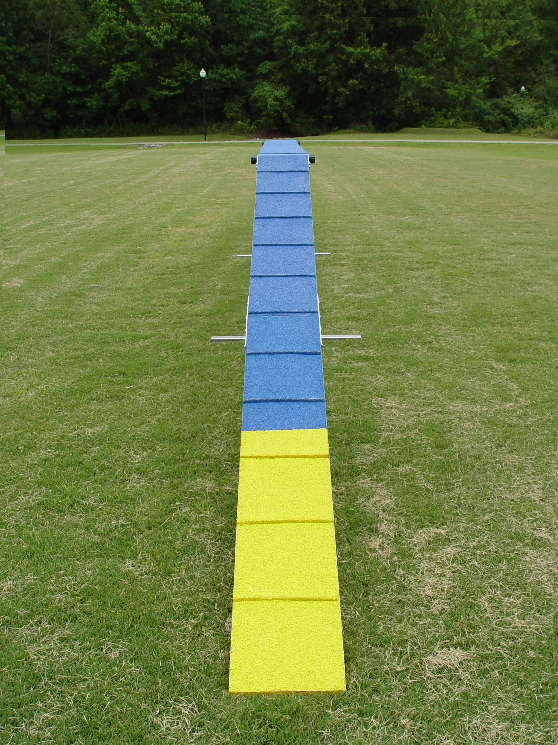 12' Commercial Grade Non-rust Dog Walk (10-year Warranty)