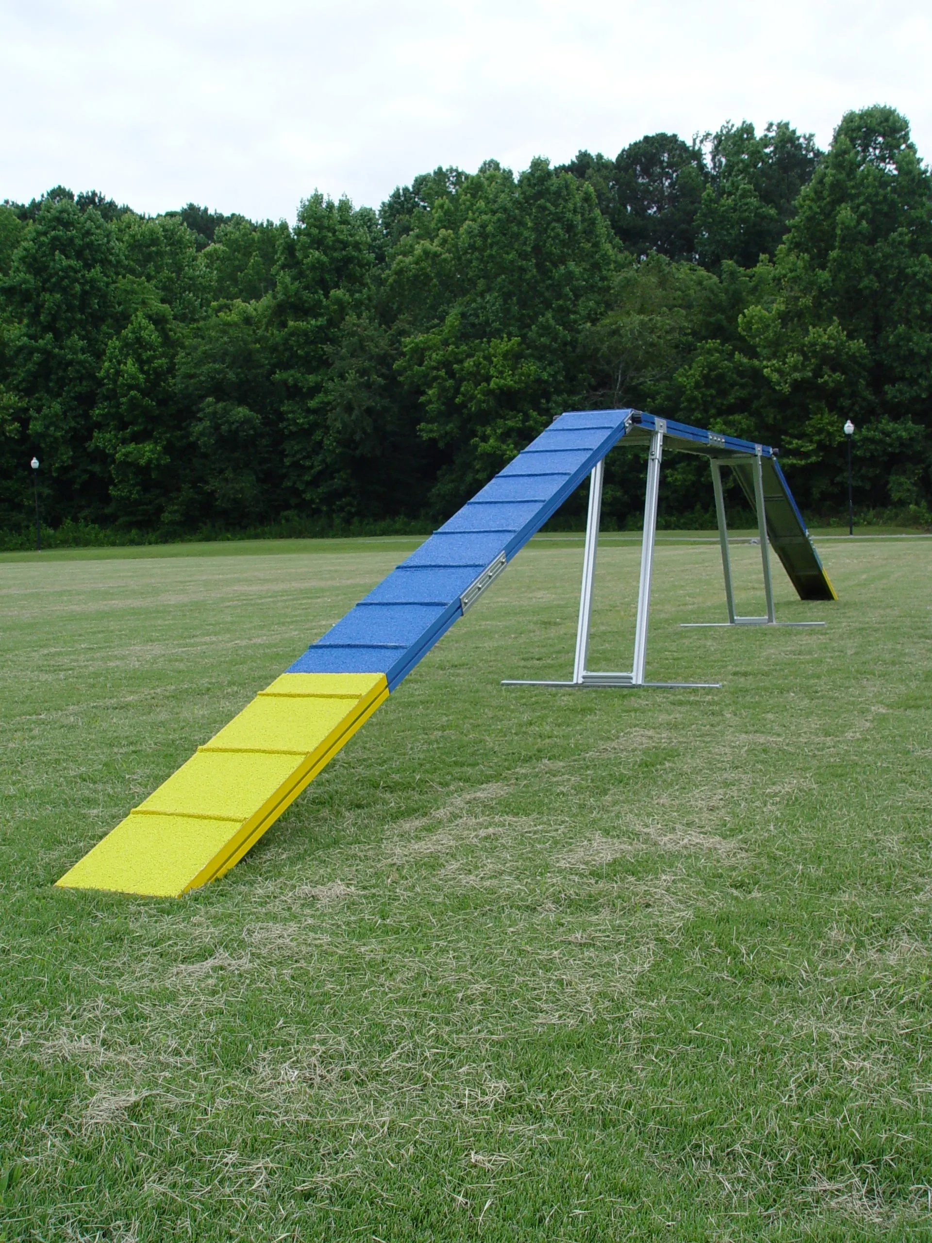 12' Commercial Grade Non-rust Dog Walk (10-year Warranty)