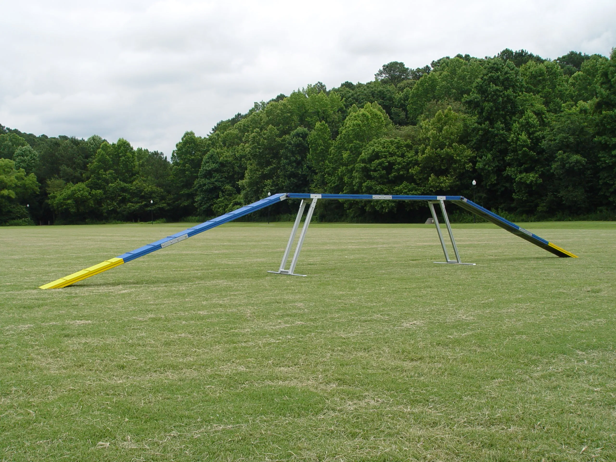 12' Commercial Grade Non-rust Dog Walk (10-year Warranty)