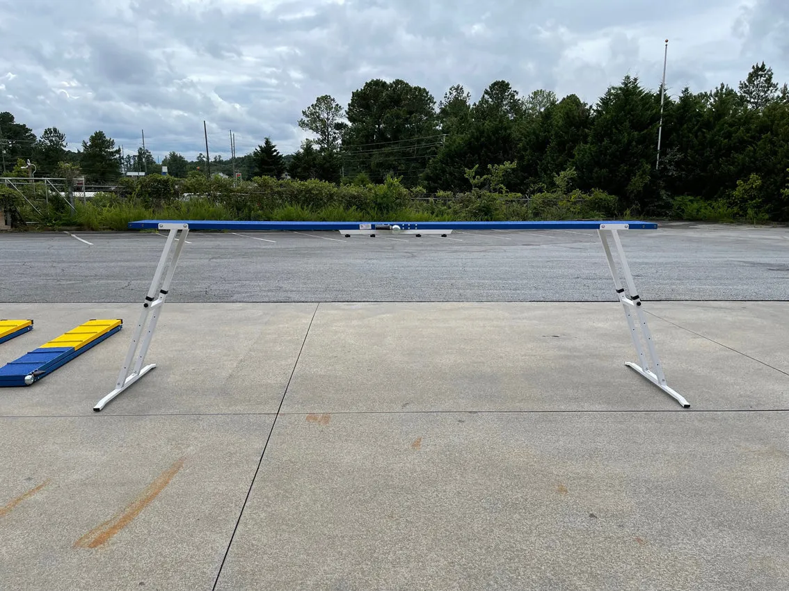 *12’ Dog Walk, Rubber Surface, Blue/Yellow
