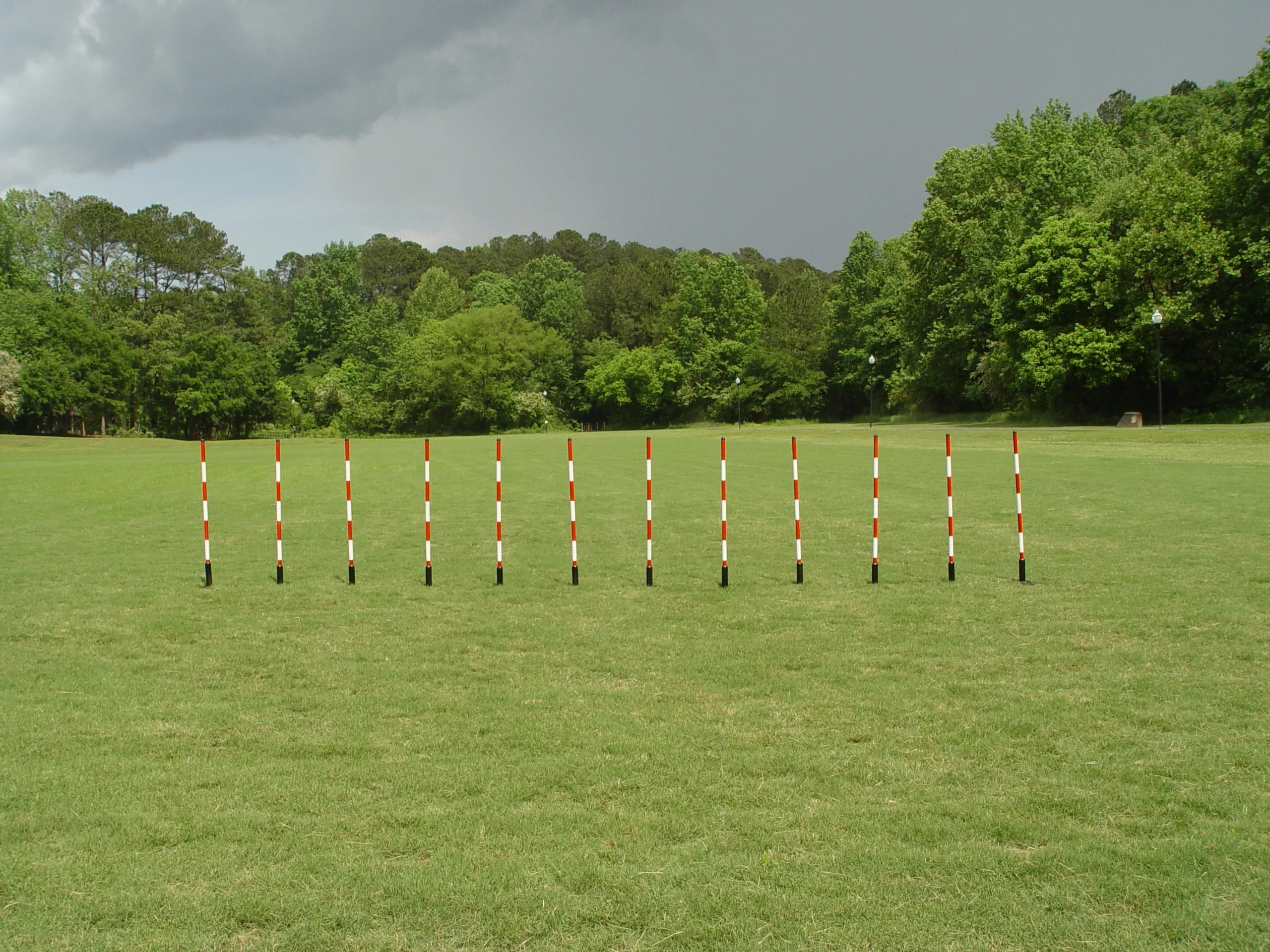 12 Pole Weave Set of 12 Poles with Adjustable Pole Spacing From 19" to 25"