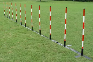 12 Pole Weave Set of 12 Poles with Adjustable Pole Spacing From 19" to 25"