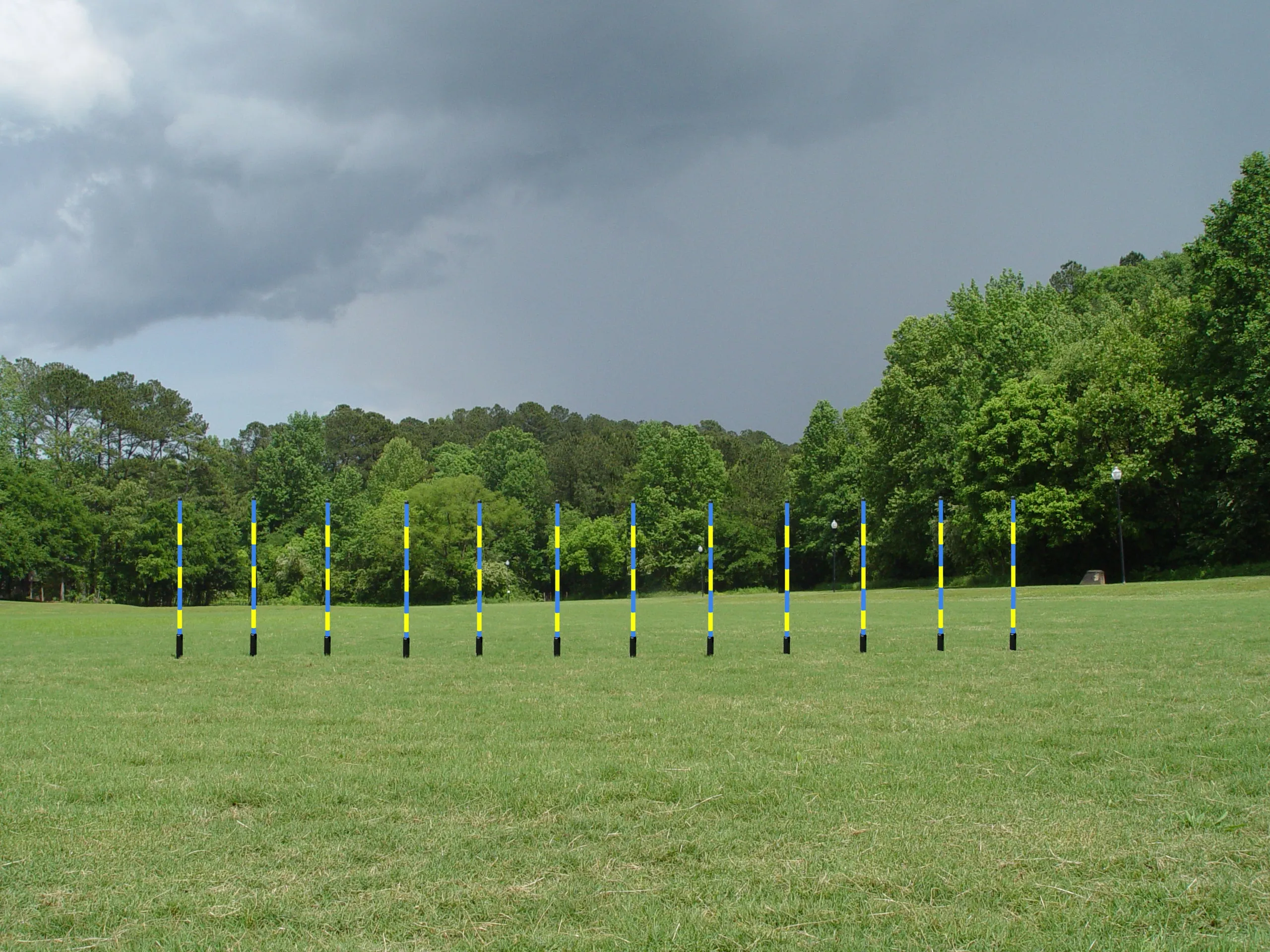 12 Pole Weave Set of 12 Poles with Adjustable Pole Spacing From 19" to 25"