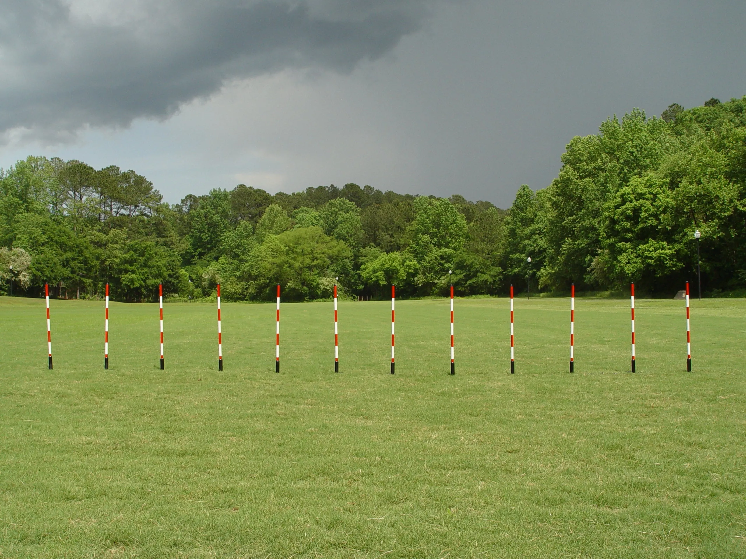 12 Pole Weave Set of 12 Poles with Adjustable Pole Spacing From 19" to 25"