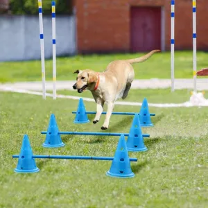 3-Set Outdoor Pet Dog Training Equipment - Enhance Your Dog's Agility and Fitness