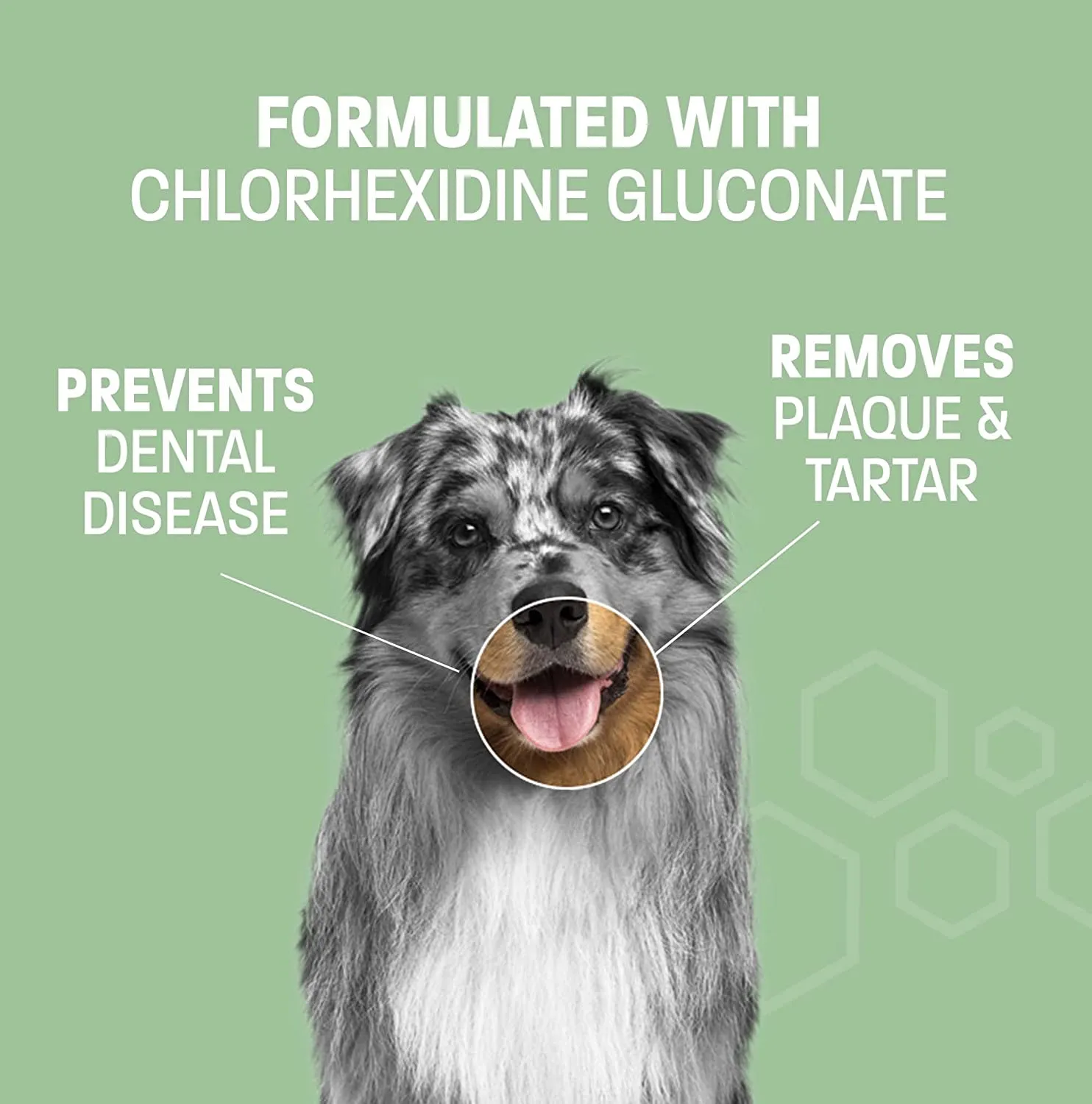 Dental Wipes for Dogs Teeth and Cats