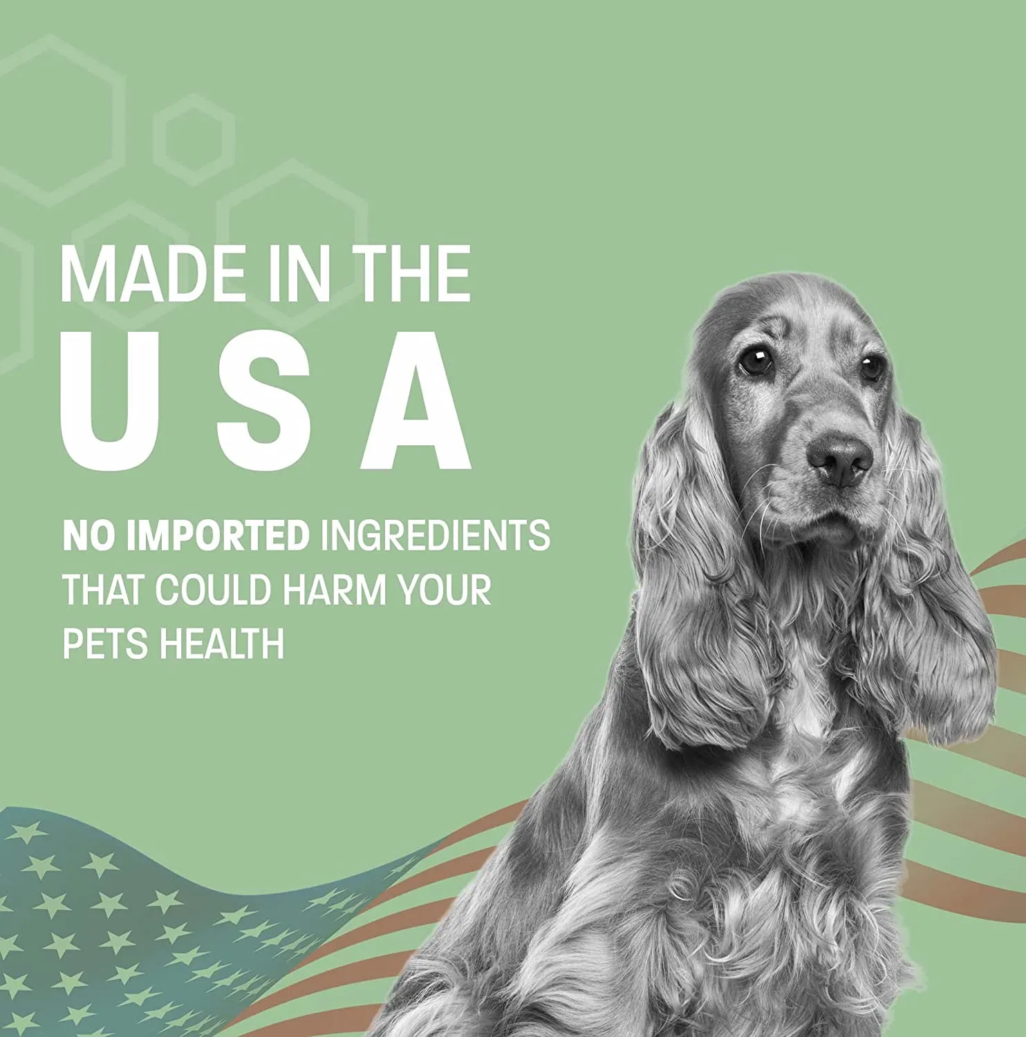 Dental Wipes for Dogs Teeth and Cats
