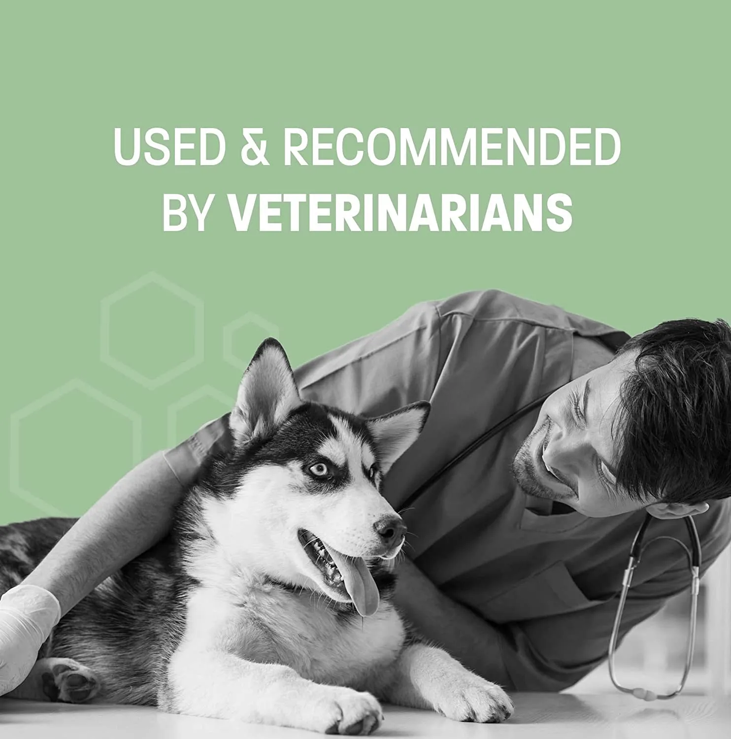 Dental Wipes for Dogs Teeth and Cats