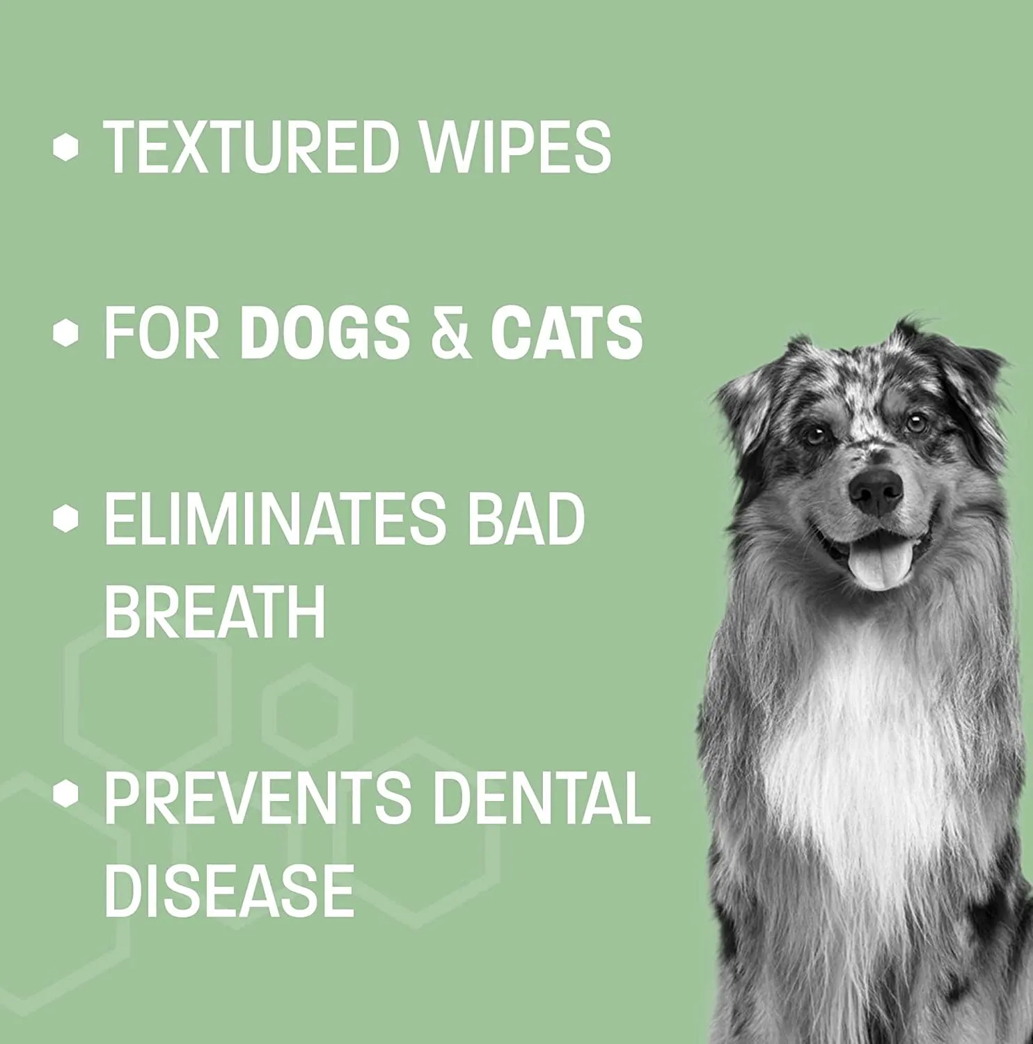 Dental Wipes for Dogs Teeth and Cats
