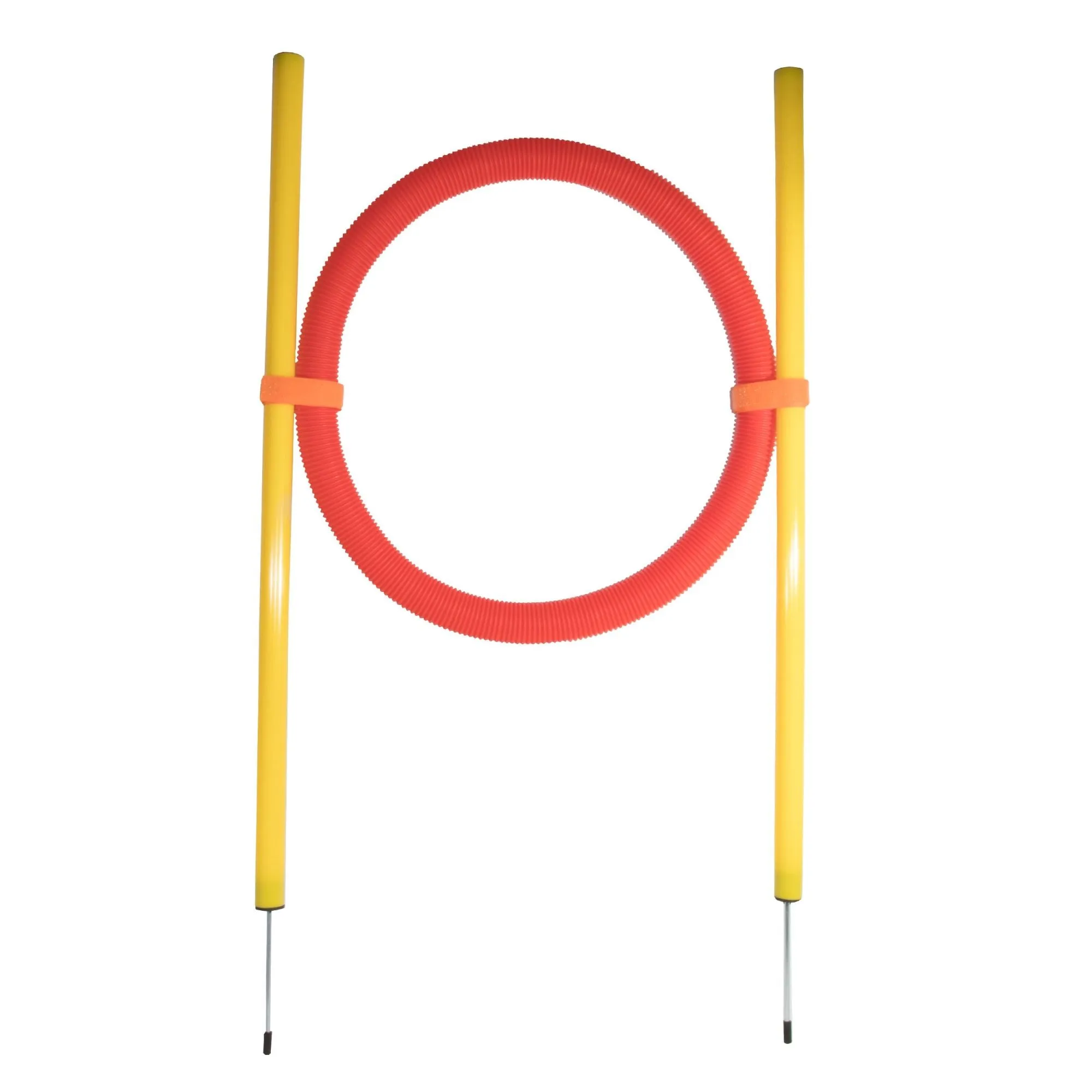Dog Agility Trainer Academy