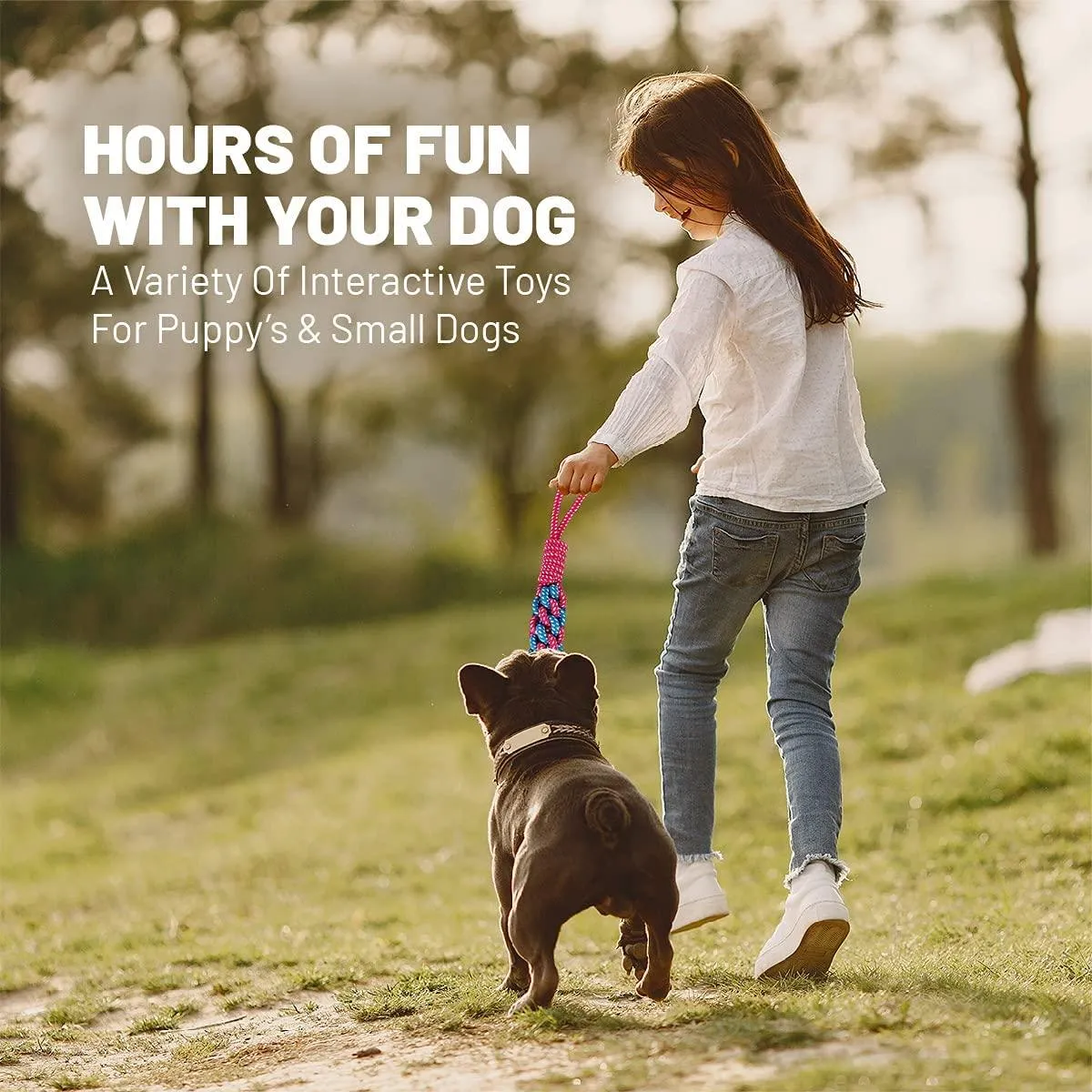 Great Pet Gift of Puppy Toys for Small Medium Dogs , Dog Toys for Boredom