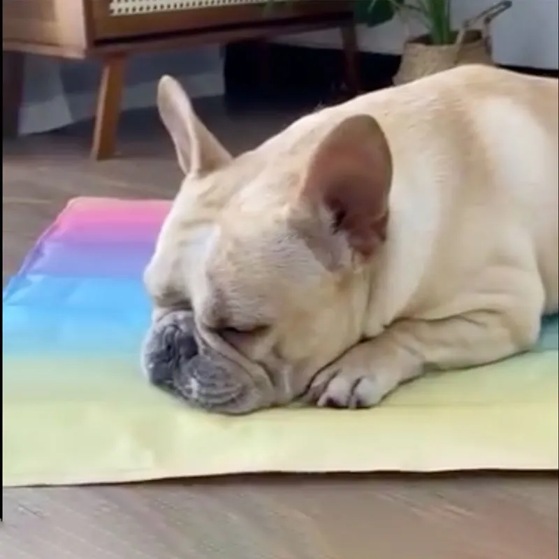 IcePup Frenchie Summer Cooling Mat with Advanced Ice Tech