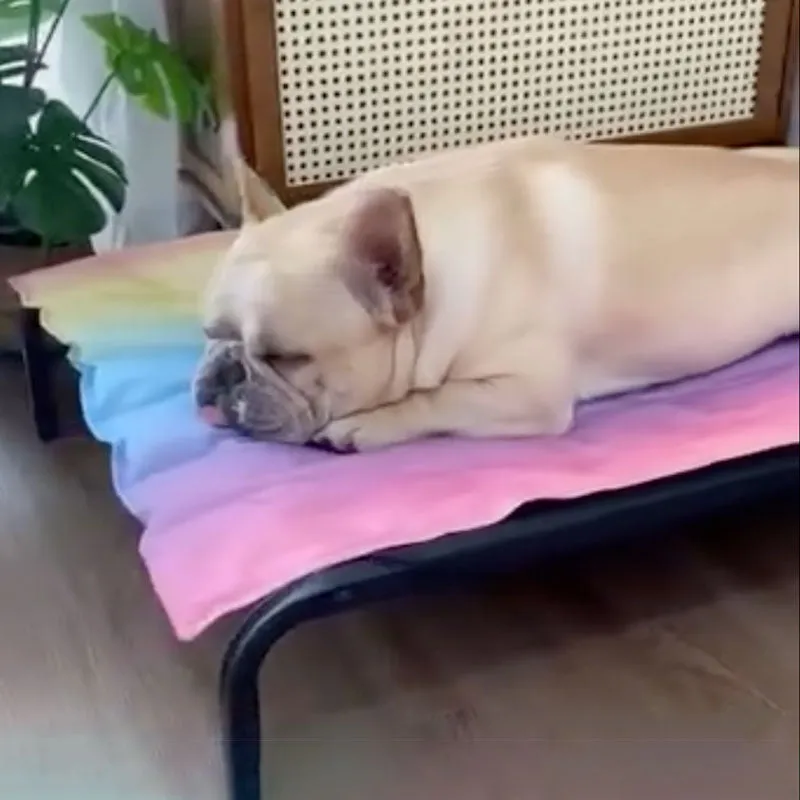IcePup Frenchie Summer Cooling Mat with Advanced Ice Tech
