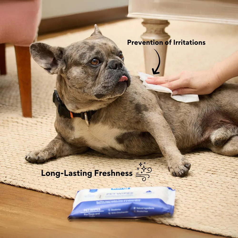 Kanu Pet Wet Wipes for Pets
