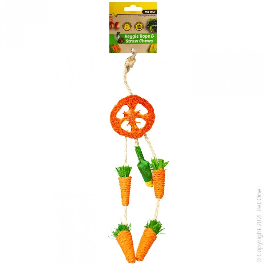 Pet One Veggie Rope and Straw Chew Hanging Dreamcatcher Small Animal Toy^^^